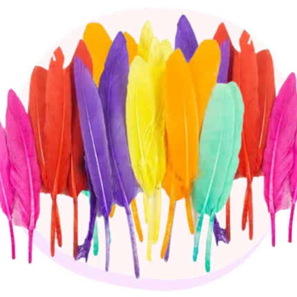 Craft Feathers Assorted Colours 20 Pack