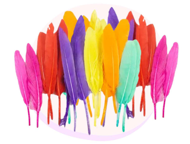 Craft Feathers Assorted Colours 20 Pack