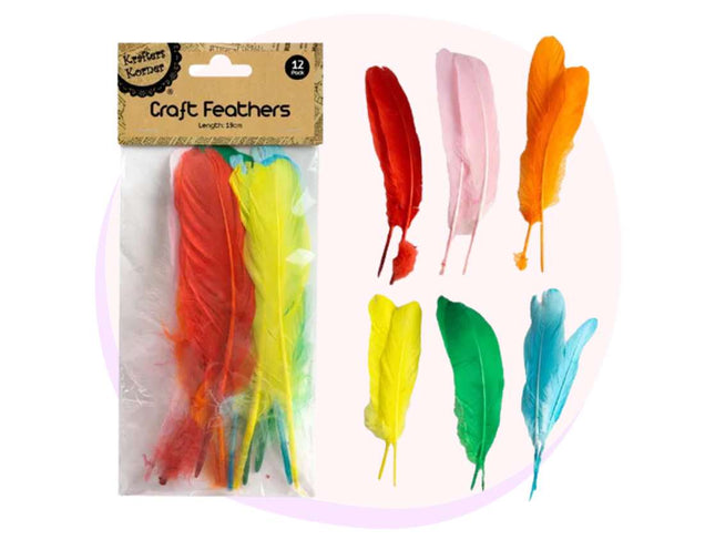 Craft Feathers Assorted Colours 12 Pack - 19cm