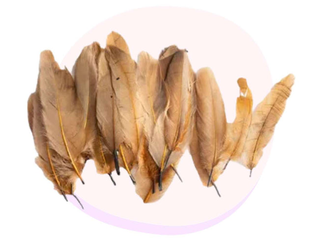 Craft Brown Feathers 50 Pack