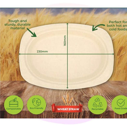 Eco- Friendly Wheat Straw Oblong Rectangle Plates 23x16cm 30 Pack